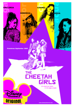 The Cheetah Girls dvd Disney dvd