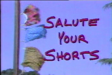 Salute your Shorts complete series dvd Nickelodeon Series
